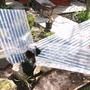 Rain_catcher