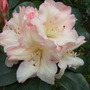 Dscf9464