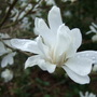 Dscf9471