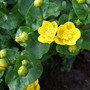 Dscf9466