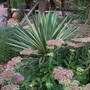 Pict0040