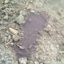 Dscf0024
