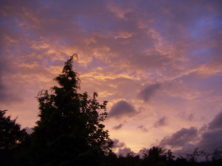 sunset