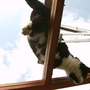 Hello down there!
