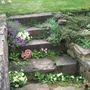 Steps_to_stream_2