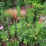 New_planting