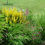 Stream_bank