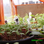 Imag0282