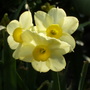 Apr_003