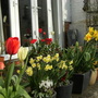 Apr_005