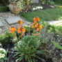 Apr_5_003