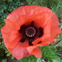 Pict0057
