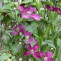 Image010