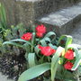 Apr_5_004