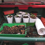 potting up bench