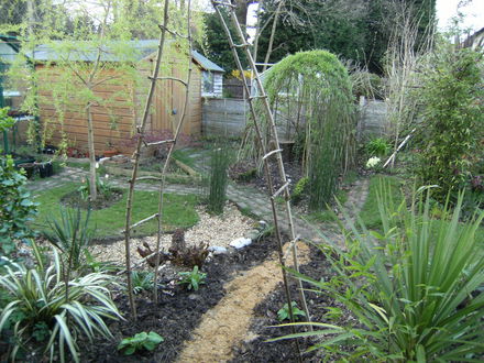 Hazel arch.