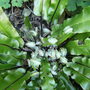 Apr_5_005