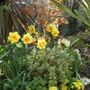 Apr_001