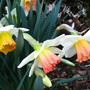 3-22-08_014