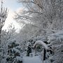 11snow_6_april