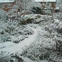 Front_garden_under_snow