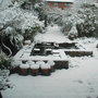 Back_garden_under_snow.jpg