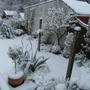 Snow_004