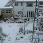 Snow_006