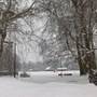 our park 