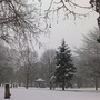 wisbech park