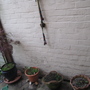 backdoor pots