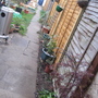 Back Fence