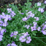 Dsc03247