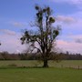 Img_0093