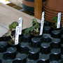 Early_2008_season_014