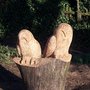 owls wisbech park