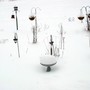 April_garden