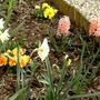 Copy_of_pict0636
