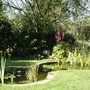 Pond Project 2004