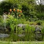 Pond Project 2004