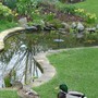 Gp0012_easter_ducks_
