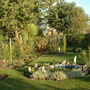 Picture_016