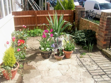 my front garden
