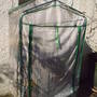 mini_greenhouse.jpg