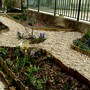Front garden early April 2008
