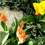 Pict0699