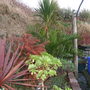 Dscf0090