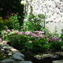 Picture_008