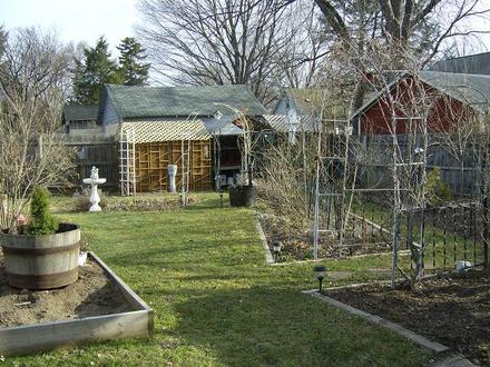 Back Garden April 2008