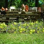 Picture_040